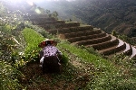 Stanford Study Reveals China’s Clean-Water Program Provides Substantial Benefits to People
