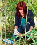 Panda Poop Microbes Show Promise for New Sustainable Energy Sources