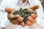 Applied CleanTech to Present a Study at WATEC 2013