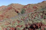 Theory on Warmth of Planet for Sustaining Planet’s Earliest Life Form Ruled Out