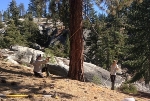 Scientists Model Effects of Future Climate Change on Forests