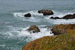 Major Biological Extinction 93.9 Million Years Ago Associated With Warm, Oxygen-Poor Ocean