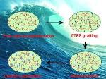 Efficient Extraction of Uranium from Seawater Using Novel Sorbents