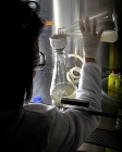 Researchers Work on Developing Advanced Biocatalyst Technologies for Biofuel Production