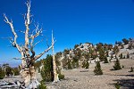 Natural Reserve System’s Climate Monitoring Network Helps Answer Climate Questions