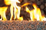 Penn State Researchers Report Companies Can Switch to Wood Boilers for Heat and Power