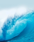 Upper Ocean Crust Could Safely Store Large Volumes of Carbon Dioxide
