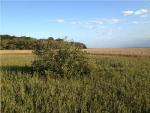 Ecosystems Replace One Another Due to Climate Change