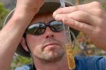 MSU Scientists Study Alkalinity-Loving Microbes for Commercial-Scale Biofuel Production