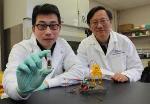 Virginia Tech Research Team Creates Sugar Battery with High Energy Density