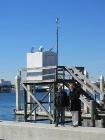 Seasonal Sea Level Cycle Fluctuates More over the Past Two Decades