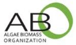 ABO Publishes Update to Standards for Industrial Algae Measurements