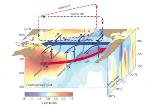 Strong Trade Winds in Pacific Ocean Keep Global Surface Warming under Check