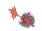 Study Uncovers Molecular Mechanisms behind Light Harvesting Process