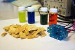 Researchers Develop New Solar-Induced Direct Biomass-to-Electricity Hybrid Fuel Cell