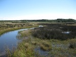 NC State University Researchers Develop New Technique to Collect More Water Quality Data