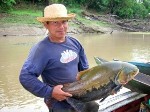 Center Explore Ecosystem Consequences of Extreme Weather Events in the Amazon Basin