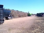 Ameresco’ Biomass Cogeneration Facility Uses Storm-Damaged Timber