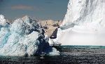 Melting Ice in East Antarctica could Raise World Sea Levels, Study Finds