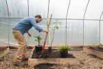 Simulating Climate Change Effects with High Tunnels