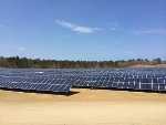 Lepomis Solar Project in Massachusetts Achieves Commercial Operation