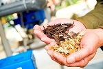 U.S. DoE Awards Humboldt State University $5.88 Million Grant for Biomass Research
