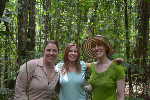 Researchers Explore Impact of Climate Change on Tropical Rainforest