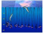 Great Whales Enhance Predictability and Stability of Marine Ecosystems