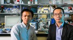 New Method Paves Way for More Efficient Renewable Energy Storage