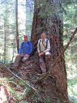 New Study Reveals that Plants' Size, Age Impact Productivity More Than Temperature