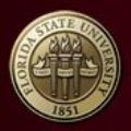 Bacteria Consumed Only Part of Toxins Released During Deepwater Horizon Oil Spill, Says FSU Researcher