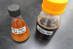 Versatile and Efficient Method to Convert Lignocellulosic Biomass into Biofuels