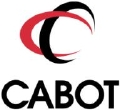 Insulated Fabric Roofing System For Energy Efficiency, Comfort and Design Aesthetics