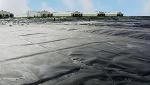 Innovative $80 Million Renewable Energy Project Harvests Biogas from Hog Manure