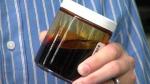 Study Provides Scientific Principles to Accelerate Biofuel Development from Plants