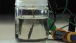 Low-Cost Device Powered by AAA Battery Splits Water into Oxygen and Hydrogen Gas