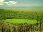Non-Native Plants Invade Galapagos Islands Affecting its Ecology