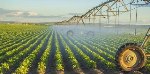 Large-Scale Forest Losses Reduce Global Emissions of Biogenic Volatile Organic Compounds