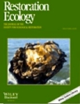 Mussels Can Double Overall Filtration Capacity of Oyster Reefs