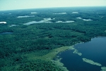 Warmer Temperatures Make Microbes to Grow Faster and Also Die Faster