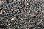 High Level of Microplastic Pollution in St. Lawrence River