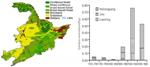 Conversion of Forests to Cropland Changes Carbon Cycle of Terrestrial Ecosystem