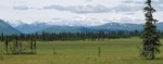 New Model More Accurately Describes Greenhouse Gases Released from Arctic Peatlands