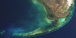 NOAA, NASA Fund Foundation Projects for National Operational Marine Biodiversity Observation Network