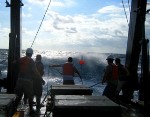 Researchers Analyze Impact of Nitrogen Deposition on Productivity of Coastal Waters