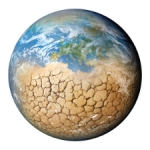 Mediterranean, Semi-Arid Ecosystems Show Remarkable Resilience to Climate Change