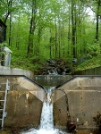 Study Determines Importance of Denitrification in Patches of Shallow Groundwater