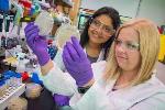 Bioengineers Boost Ability of Bacteria to Produce Biofuels