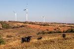 ConEdison Development Partners with Sempra U.S. Gas & Power for Nebraska Wind Project