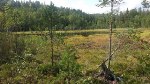 Biodiversity Loss as Serious as Climate Change